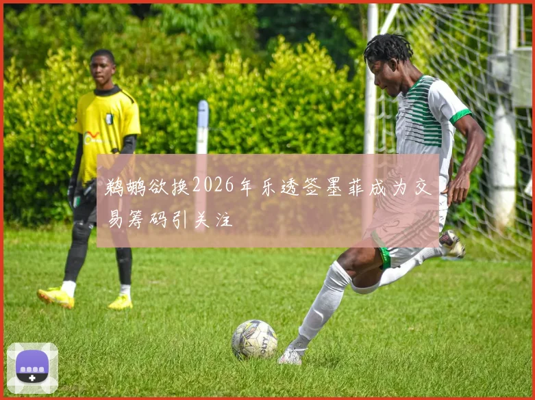 鹈鹕欲换2026年乐透签墨菲成为交易筹码引关注